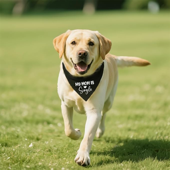 My Mom is Single Funny Dog Bandana, Valentine's Day Dog Bandana, Adjustable Pet - Image 5