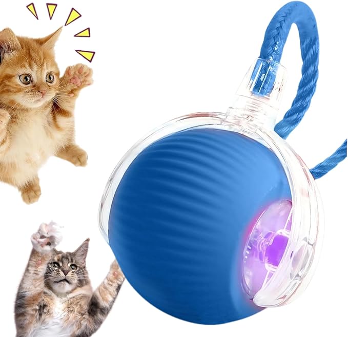 Interactive Cat Toy, Electric Dog BallToy, Cat Toys by Unknown