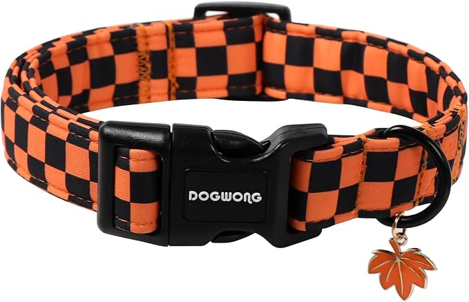 DOGWONG Fall Dog Collar by DOGWONG