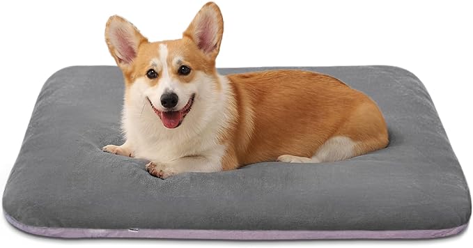 Magic Dog Super Soft Medium Dog Bed, 32 Inches Orthopedic Foam Pet Beds by MagicDog