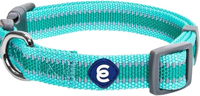 Blueberry Pet Essentials Matching Small Dog Collar | Adjustable Classic Solid by BlueberryPet