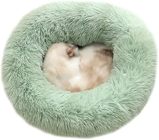 Cat Beds for Indoor Cats - Image 3