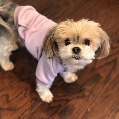 Jecikelon Winter Dog Hoodie Sweatshirts - Image 2