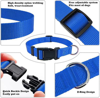 Blue Dog Collar Basic Adjustable Dog Collars - Image 3