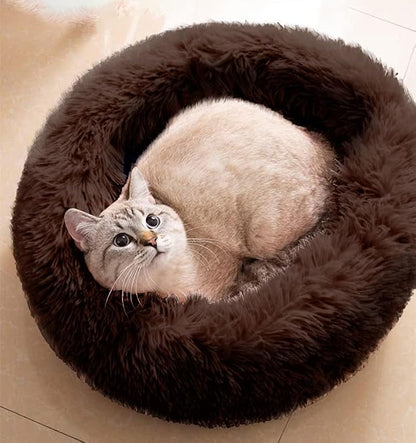 Cat Beds for Indoor Cats by Unknown