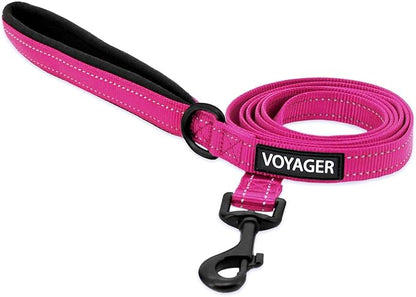 Best Pet Supplies Voyager Reflective Dog Leash or Collar by BestPetSuppliesLLC