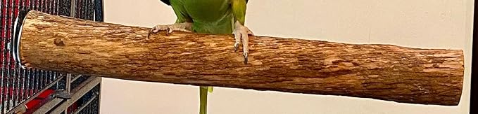 Polly's Hardwood Bird Perch - Image 6