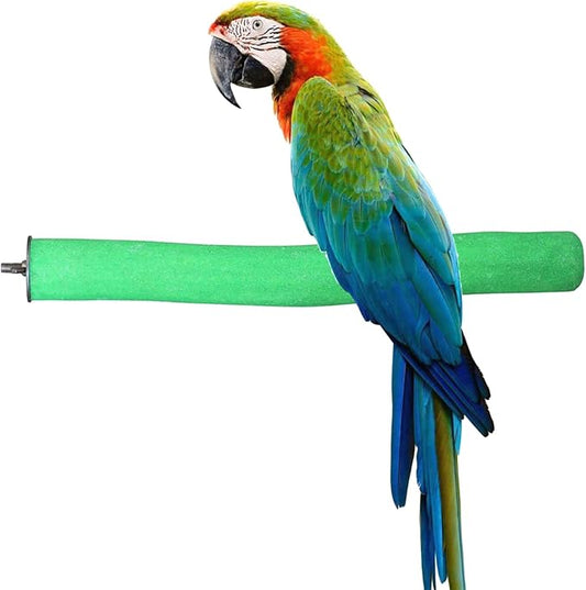 Bird Perch Rough-surfaced Nature Wood Stand Toy Branch by KINTOR