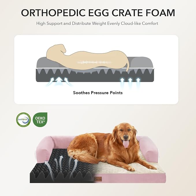 Orthopedic Dog Beds for Large Sized Dogs, Waterproof Egg Crate Foam Large Dog - Image 2