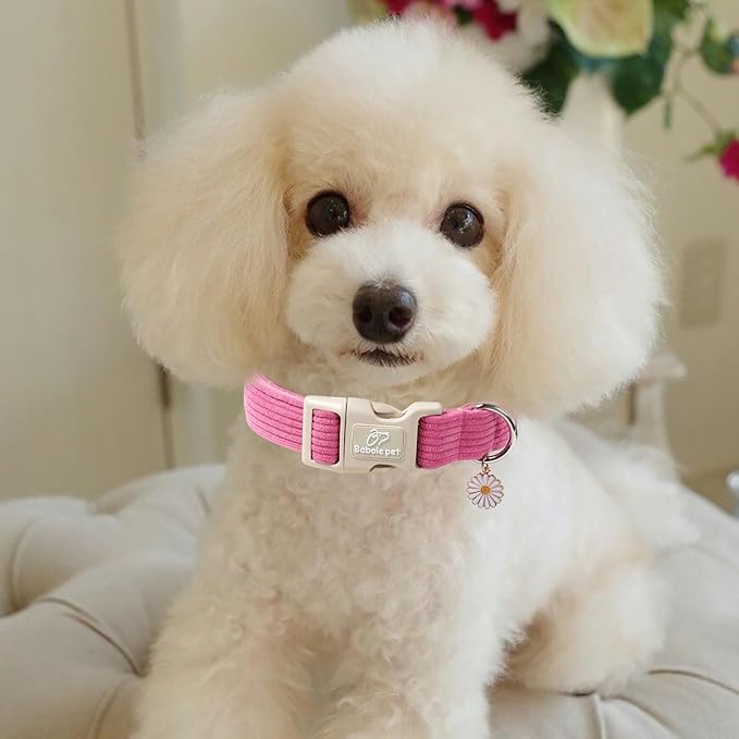 Cute Corduroy Dog Collar - Image 5