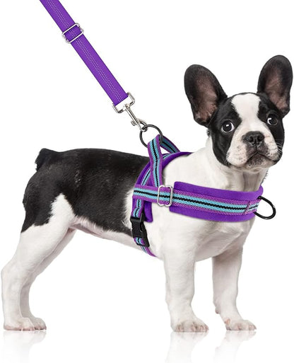 SlowTon No Pull Small Dog Harness and Leash Set, Puppy Soft Vest Harness Neck & by SlowTon