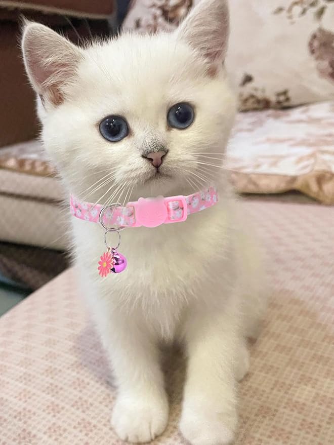 10PC Floral Cat Collar Set - Image 6