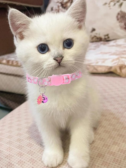 10PC Floral Cat Collar Set - Image 6