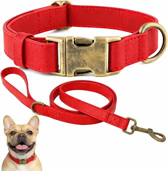 Silicone Dog Collar and Leash Set, Waterproof & Odor-Proof Puppy Collar by Ben+%26+Fellows