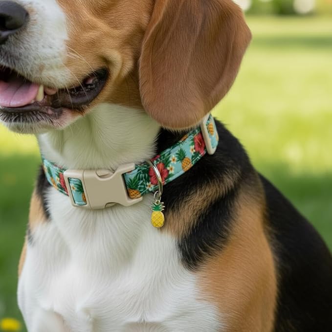 Summer Dog Collar with Tropical Pattern, Cute Dog Collar - Image 4