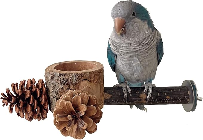 Bird Perch with Feeder for Cage & Chew Toys Pinecones by Unknown