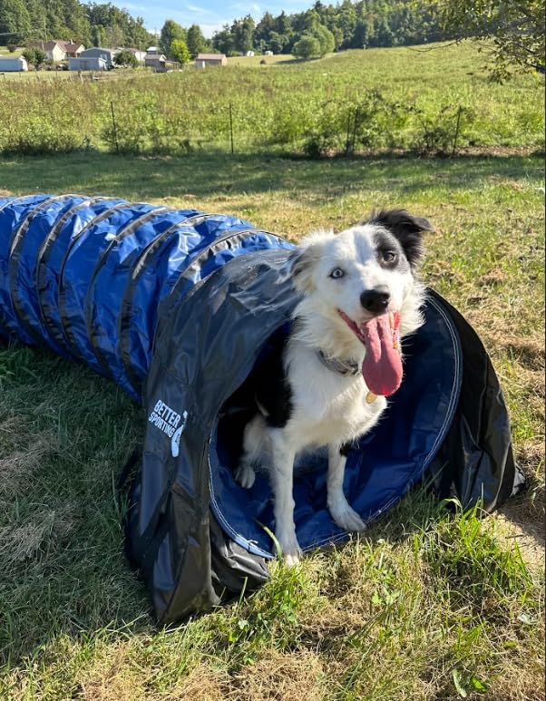 Better Sporting Dogs 10 Foot Heavy Duty PVC Tunnel - Image 3