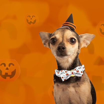 Halloween Dog Collar, Pet Collar Bow Pumpkin Pet Collar Girl Boy Bow Dog - Image 5