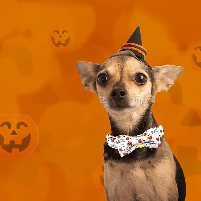 Halloween Dog Collar, Pet Collar Bow Pumpkin Pet Collar Girl Boy Holiday - Image 5