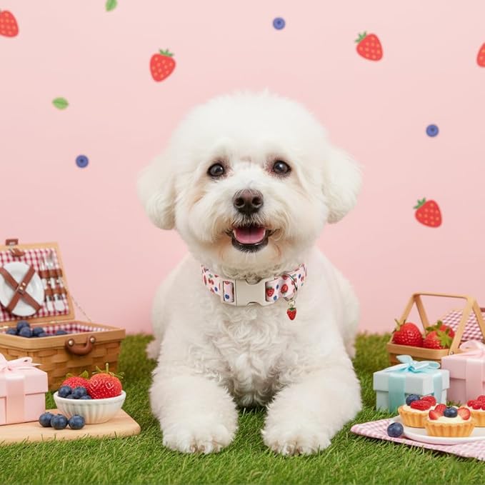 Pink Dog Collar, Girl Dog Collar - Image 6