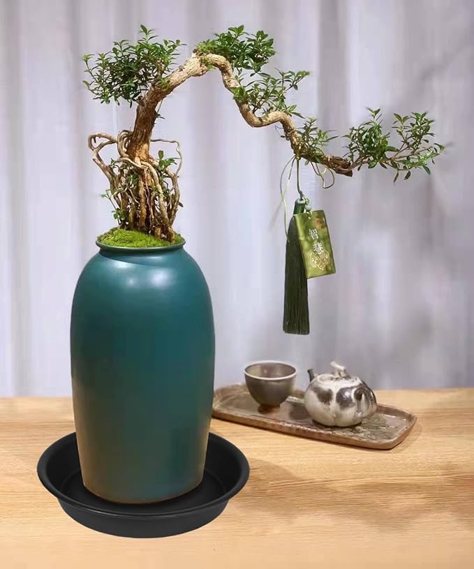 2 Pack of 8 inch Plant Saucer Clear, Heavy Duty Plastic Plant Water Tray 8 inch - Image 4