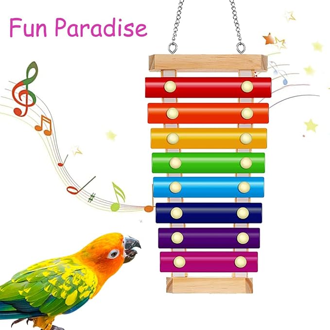Bird Xylophone with Mirror & Bell Accessories - Image 6