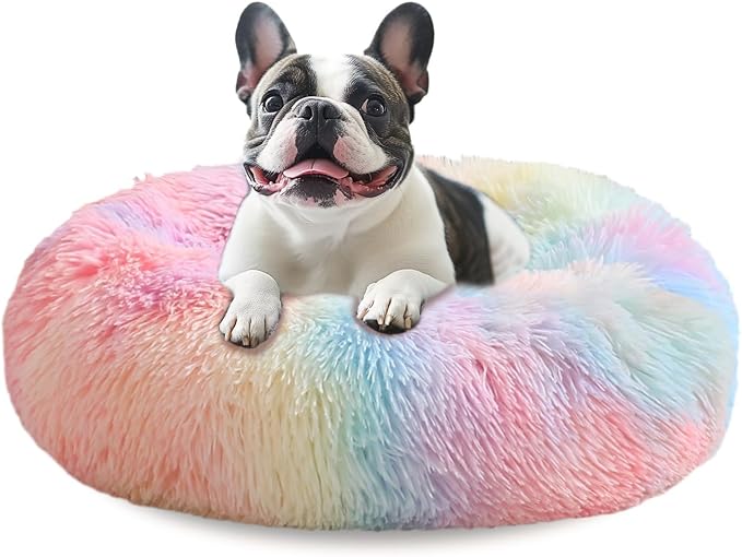 JOLLYVOGUE Calming Dog Bed Medium Size Dog, Anti-Anxiety Donut Medium Pet Bed by JOLLYVOGUE