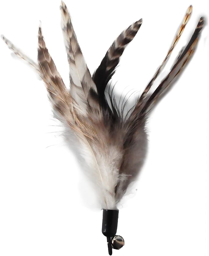 Cat Toys - No Chemical Dyeing Cat Feather Toys - Image 8