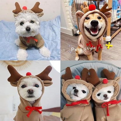 Warm Dog Winter Clothes Cute Fruit Dog Coat Hoodies Fleece Pet Dogs Costume - Image 3