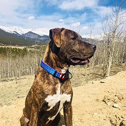 Native Pup American Flag Dog Collar- Red White and Blue- Patriotic Collars - Image 6