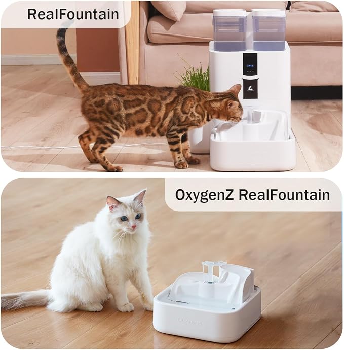 Cat Water Fountain Filter Replacement 6PC Compatible - Image 7