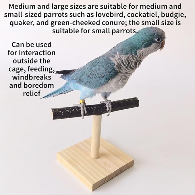 Bird Perch Stand, Bird Training Portable Tabletop Platform, Parrot Cage Toy Gym - Image 6