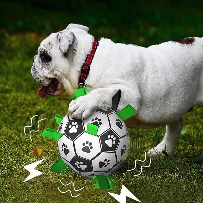 QDAN Dog Soccer Balls Toy with Bell Inside, Outdoor Interactive Dog Toys - Image 9