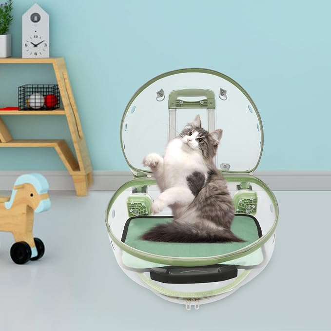 Transparent & Fully Breathable Hard Cat Carrier - Image 6