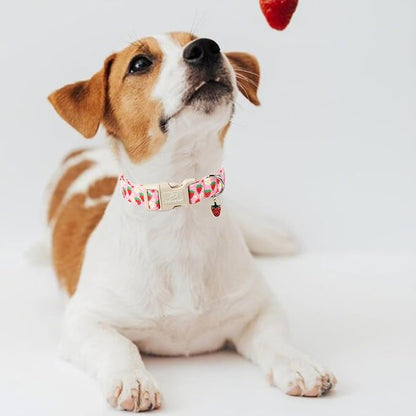 Cute Spring/Summer Dog Collar, Adjustable Pink Strawberry Dog Collars - Image 2
