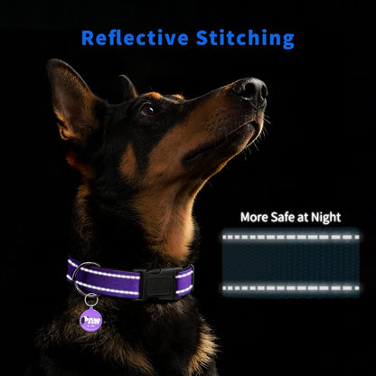 Reflective Dog Collar for Small Dogs - Image 3