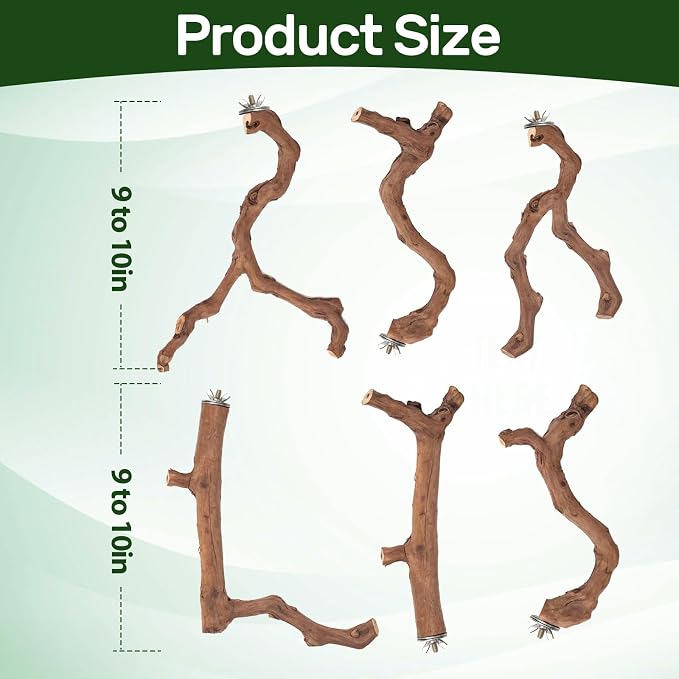 6-Piece Premium Bird Perch Stand - Image 7