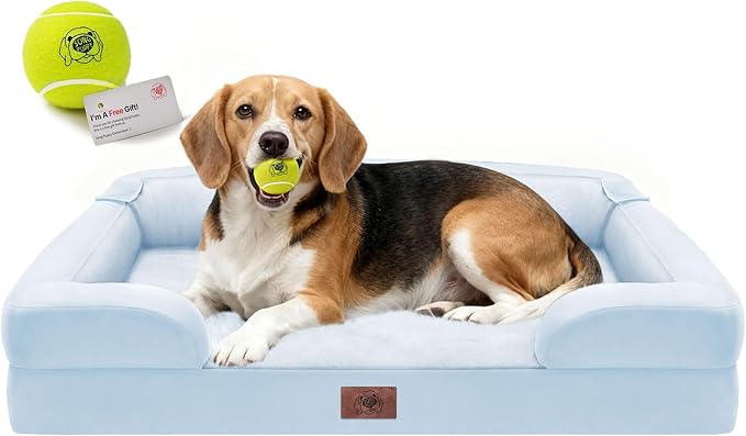 Orthopedic Dog Beds for Large Medium Dogs, Big Waterproof Memory Foam Pet Couch by FollowSongPuppy