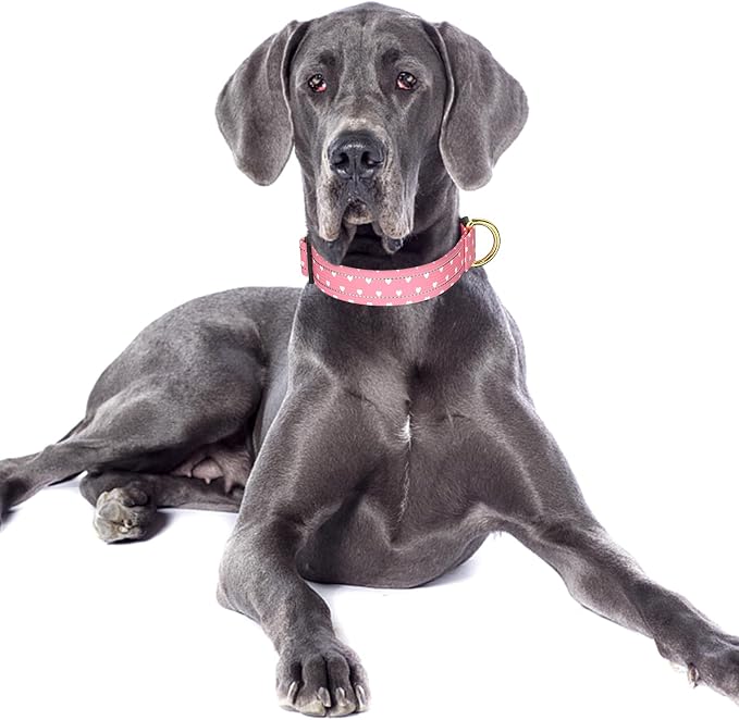 Reflective Dog Collar for Large Dogs, Cute Adjustable Heavy-Duty Nylon Puppy - Image 2