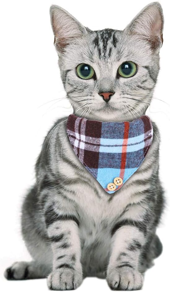 Faleela Breakaway Cat Collar - Image 6