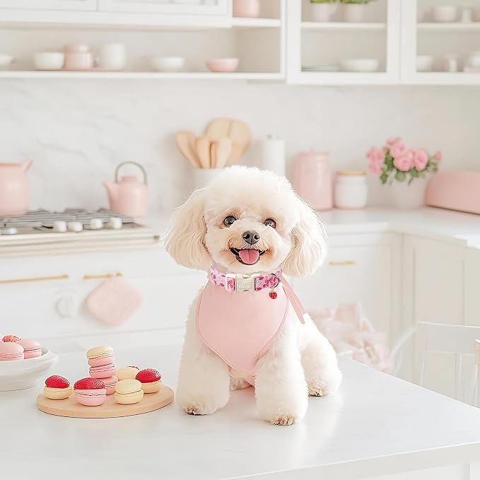 Strawberry Bow Dog Collar for Giant Large Dogs - Image 6