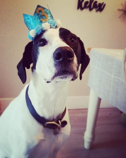 PET SHOW Blue Crown Dog Birthday Hat - Image 3