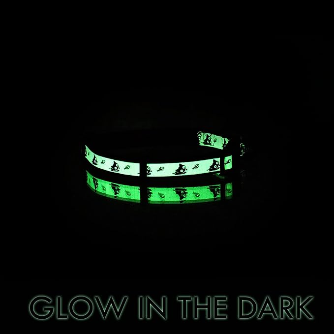 Pawtitas Glow in The Dark Cat Collar - Image 8