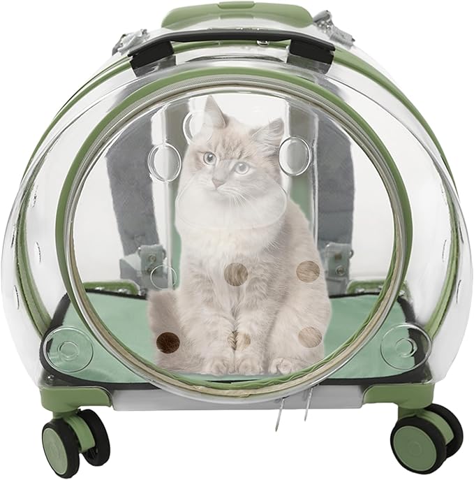 Transparent & Fully Breathable Hard Cat Carrier by CeRaBuRET