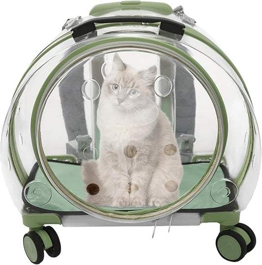 Transparent & Fully Breathable Hard Cat Carrier by CeRaBuRET