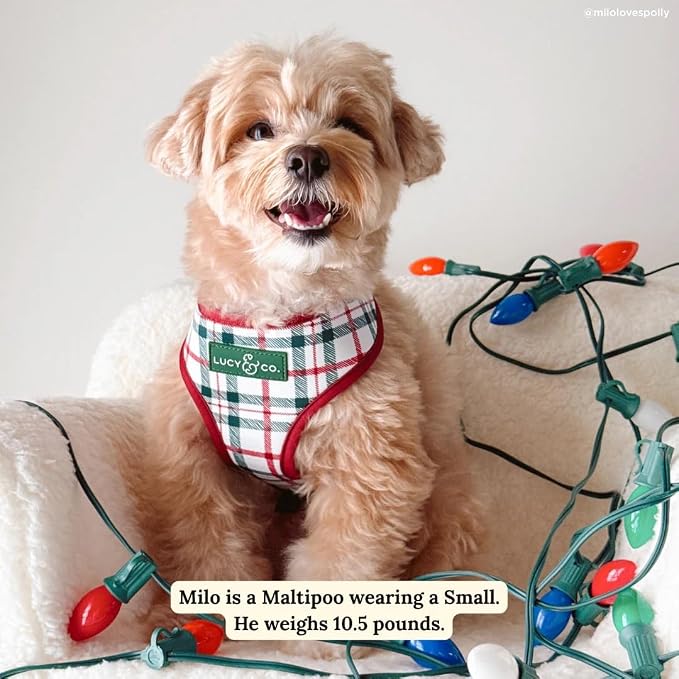 Lucy & Co. Cute Reversible Dog Harness Walking Halter - Image 2