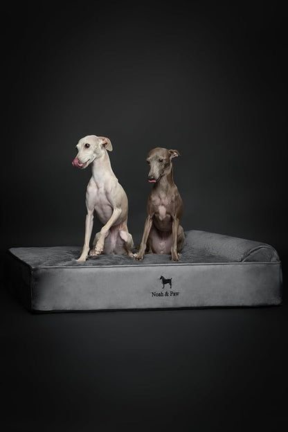 NOAH & PAW Large Dog Bed, Orthopedic Dog Beds, Eggshell Memory Foam Infused - Image 6