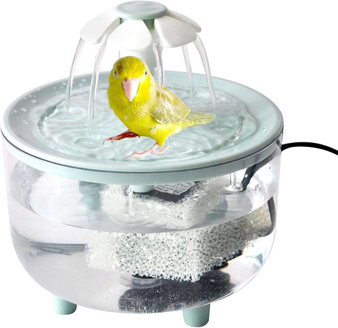 Automatic Bath for Birds, Parrot Bathtub by MUYG