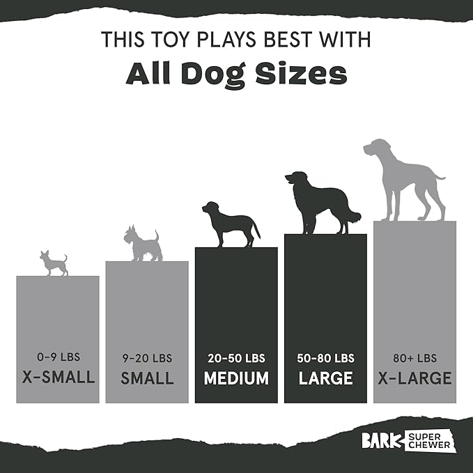Barkbox Super Chewer Tough Dog Chew Toys - Image 6