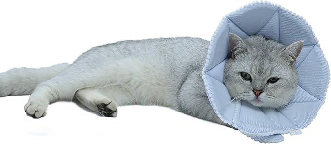 Soft Cat Recovery Collar, Adjustable Dog Cat Cone, Dog Protective Cone Collar by WZPET